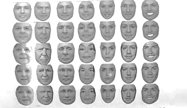 Face Dataset